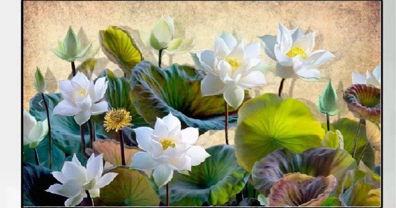 Tranh thêu hoa sen và hoa mẫu đơn với những ý nghĩa biểu tượng khác nhau